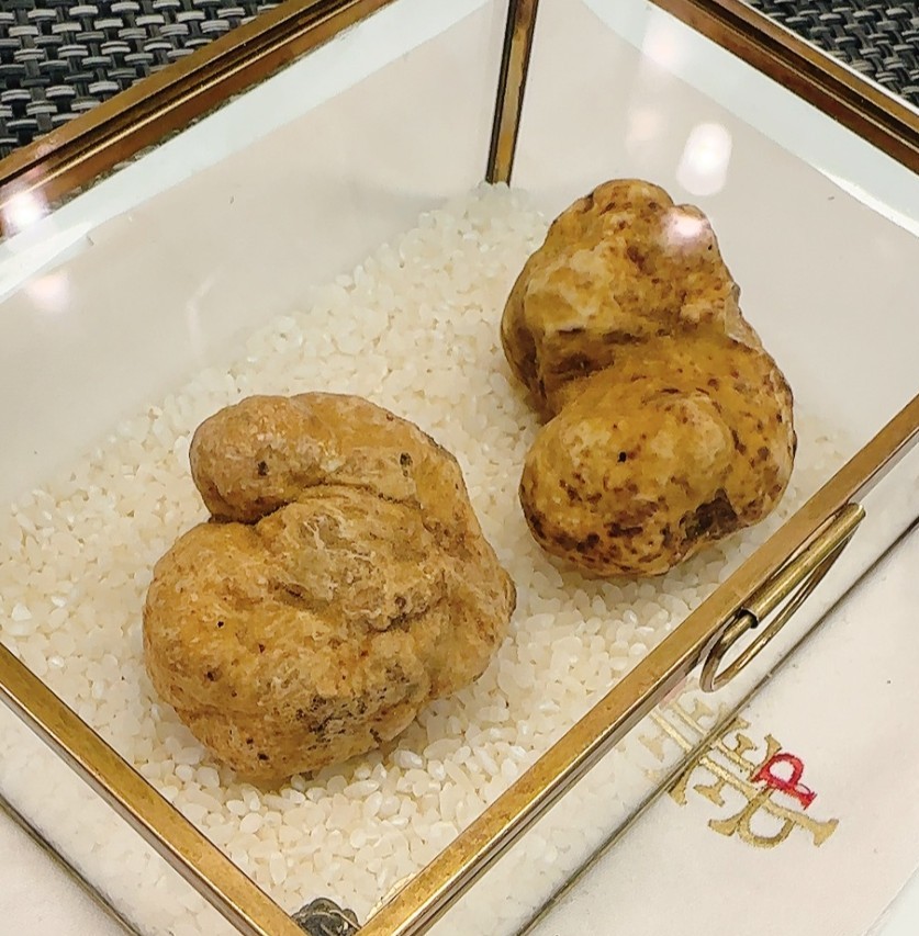【白トリュフ】販売(予定)のお知らせ